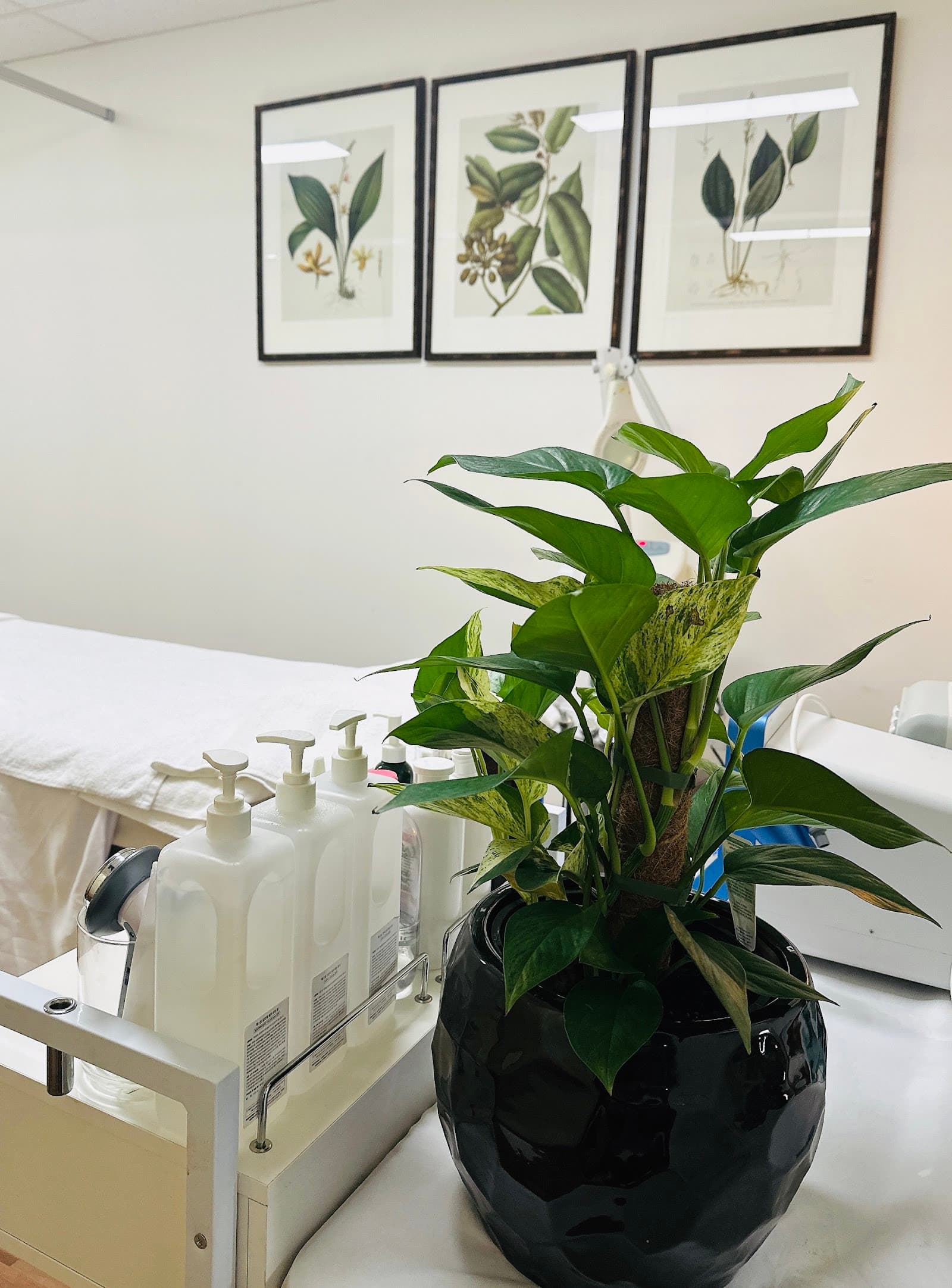 Le Spa Massage Academy & Remedial Massage — Milton, Brisbane