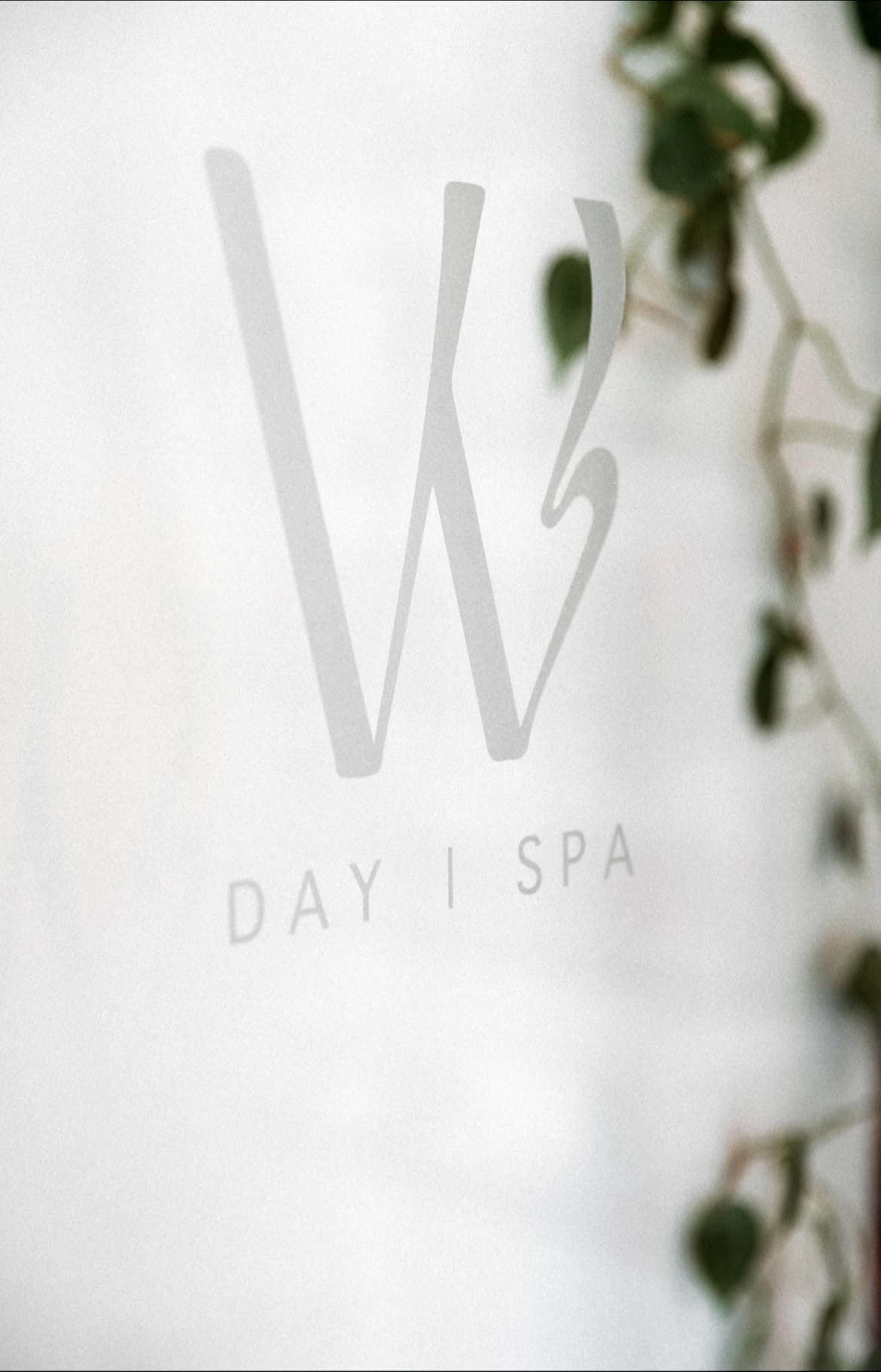 Willow Day Spa — Wynnum, Brisbane