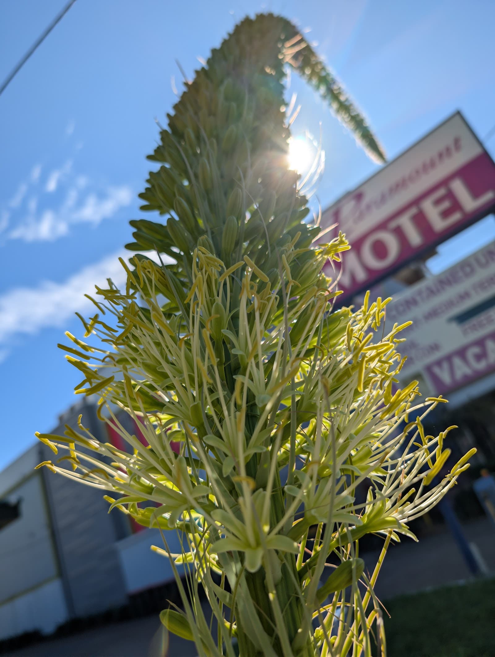 Paramount Motel — Kangaroo Point, Brisbane