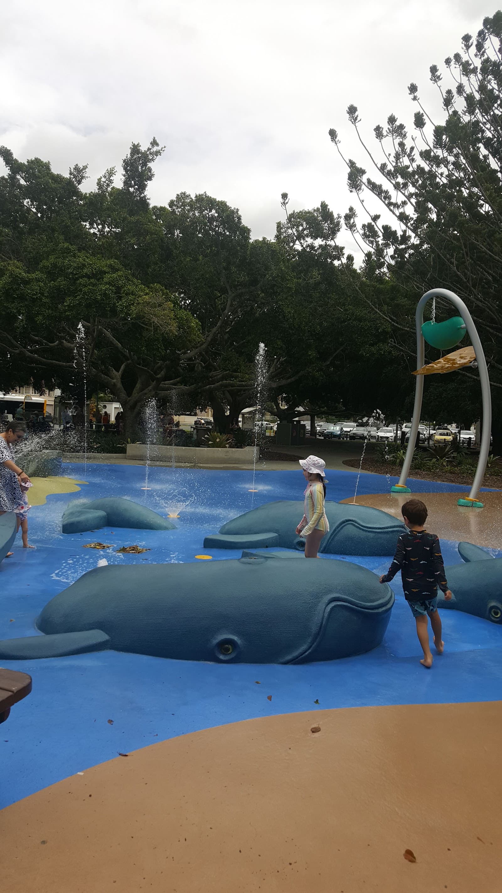 Pelican's Nestle Inn - Accommodation — Manly, Brisbane