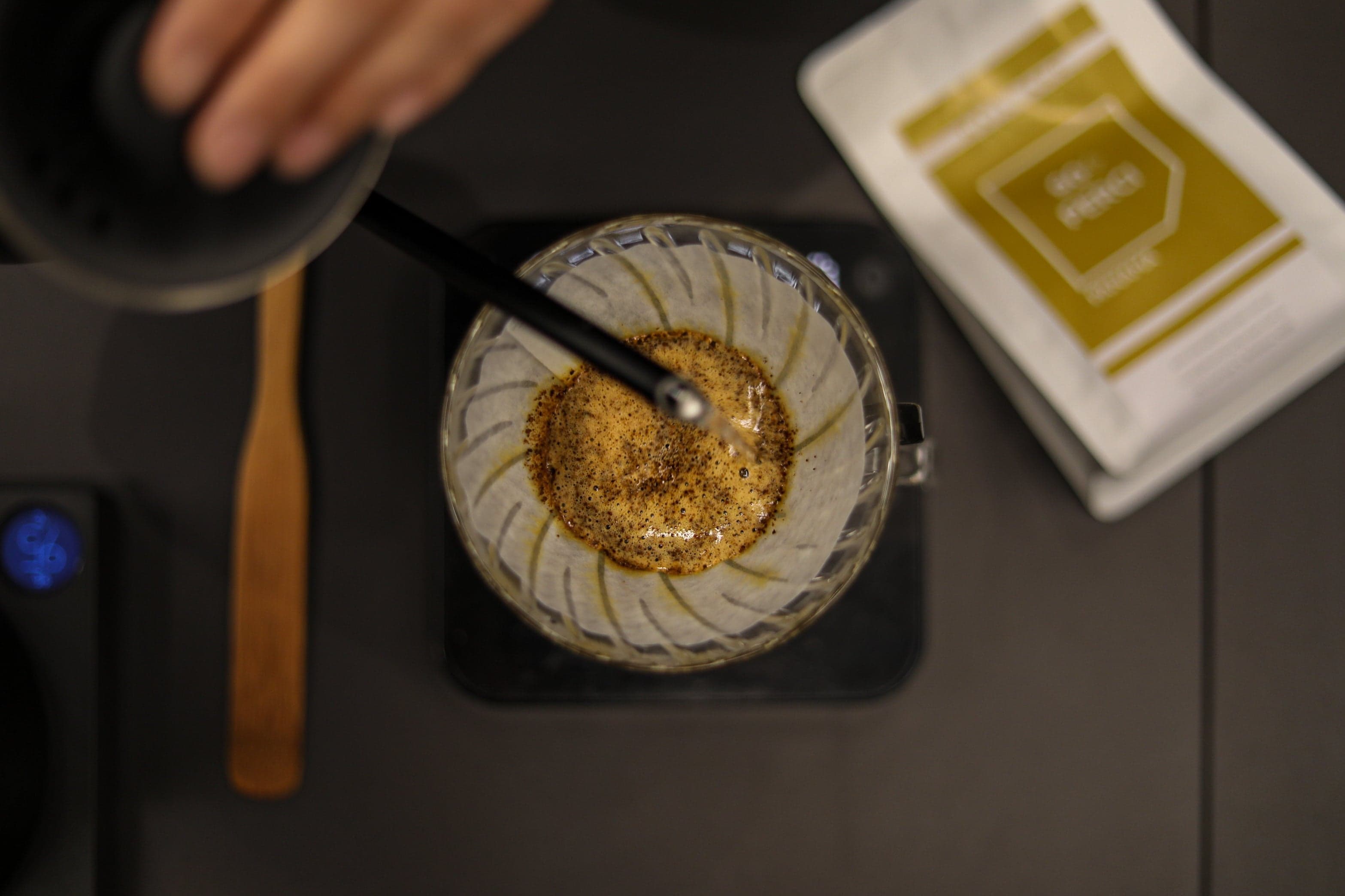 The Maillard Project
