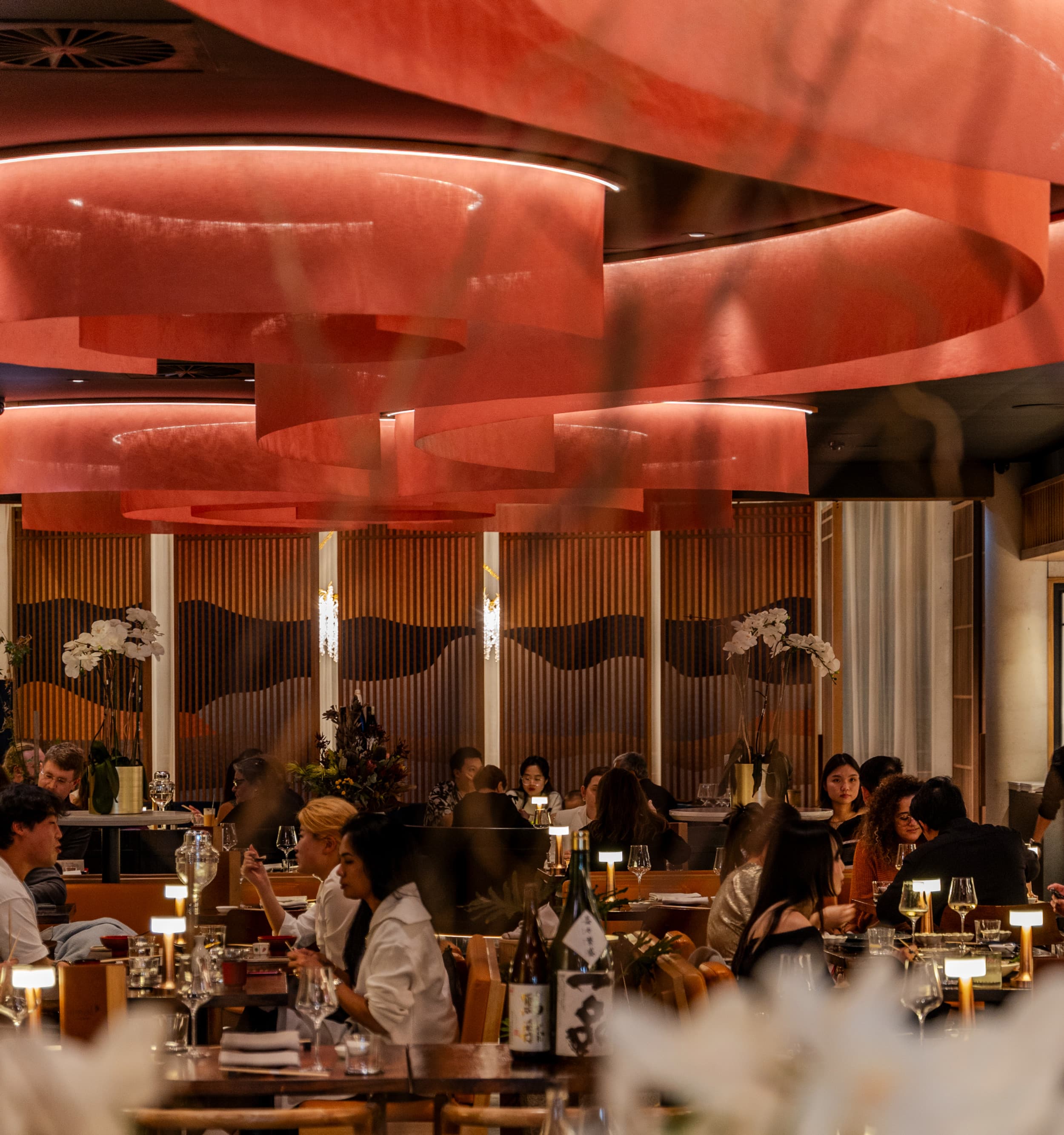 IPPIN Japanese Dining