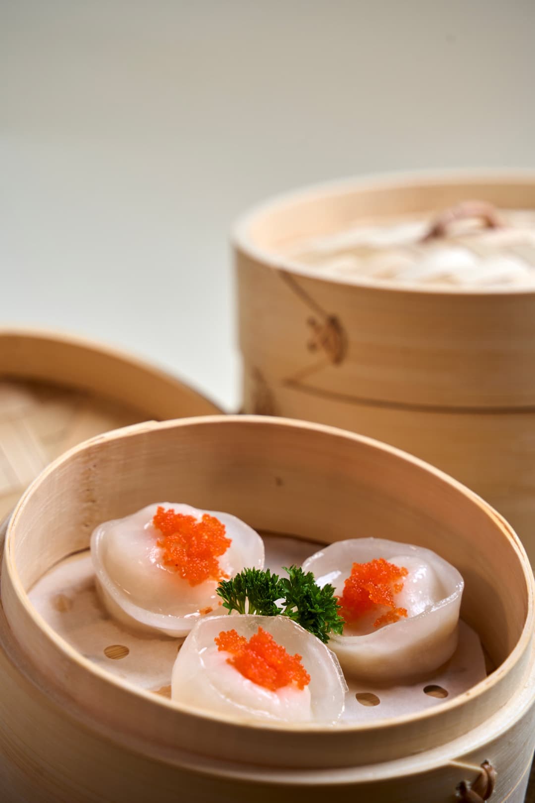 Fusion & Dumplings House