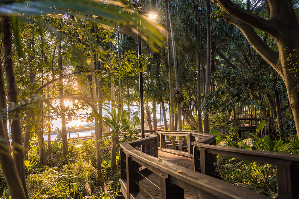 South Bank Parklands