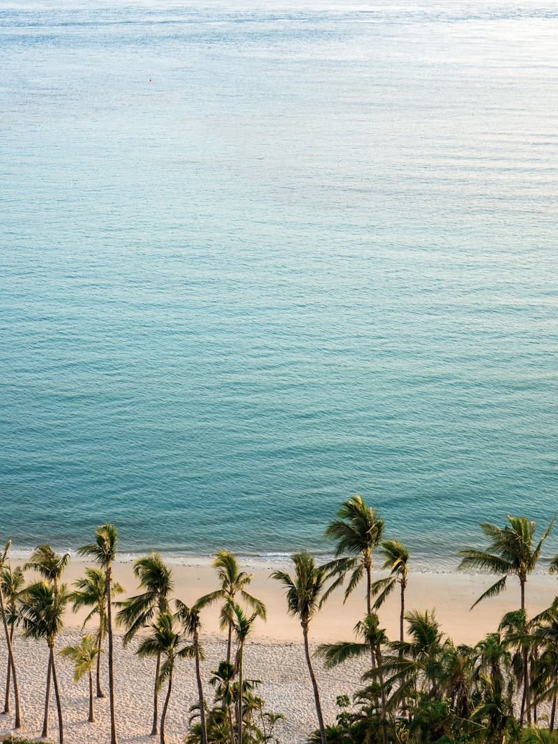 Catseye Beach