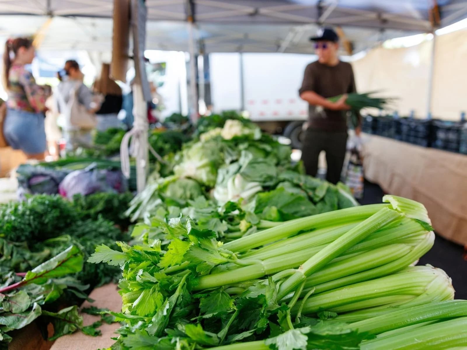 Jan Powers Farmers Markets Powerhouse