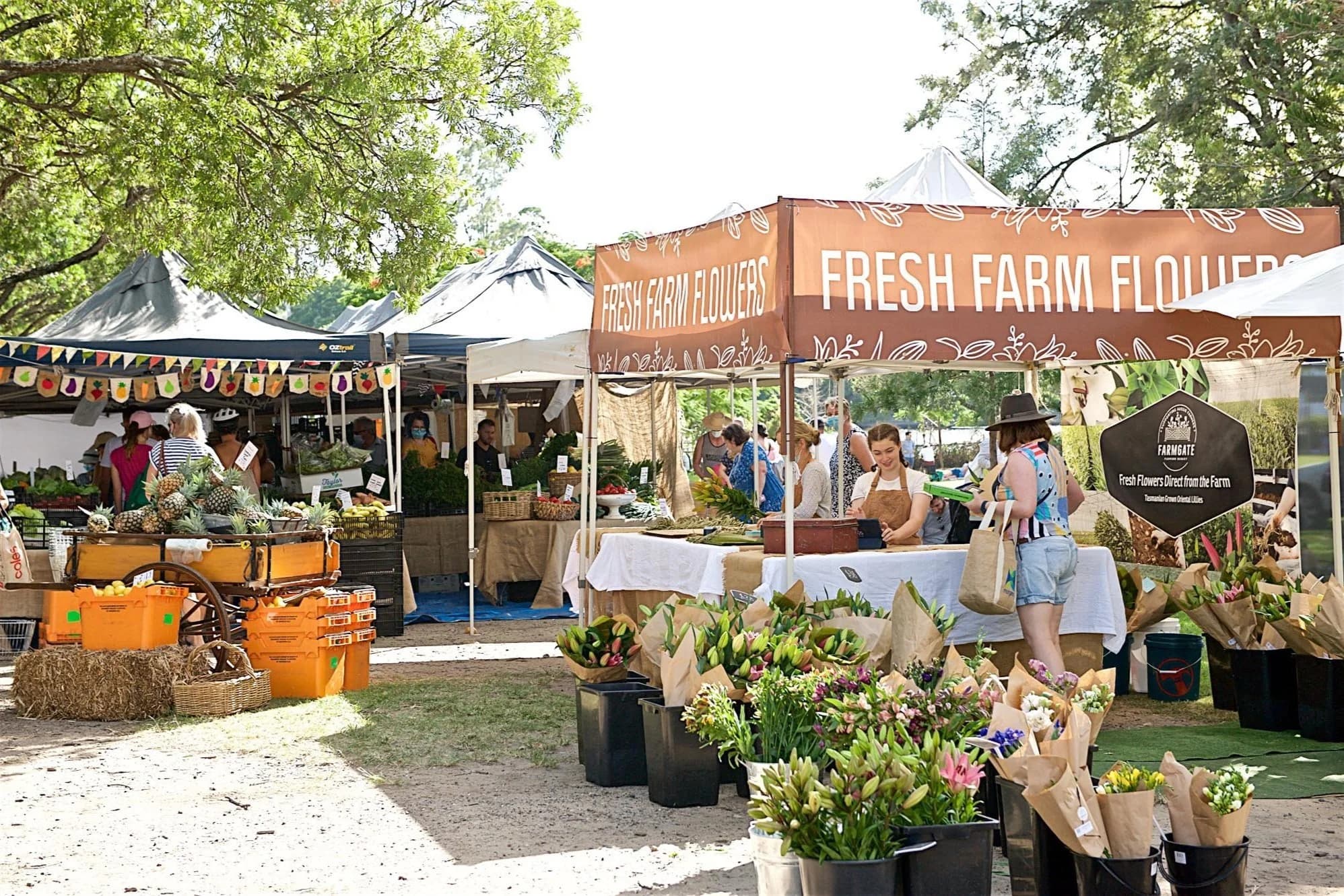 Jan Powers Farmers Markets Powerhouse