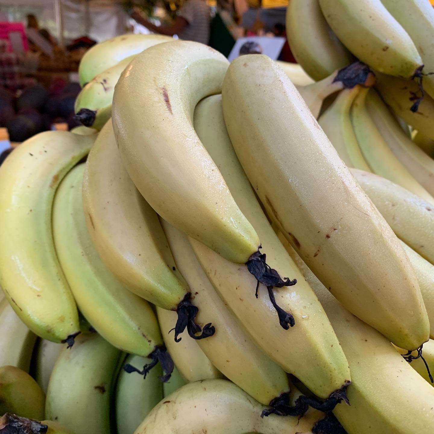 Northey Street Organic Farmers Market