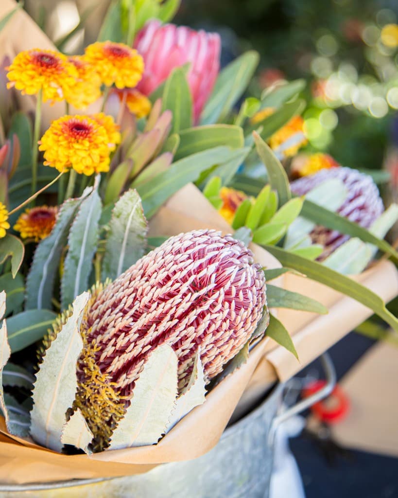 The Carseldine Farmers & Artisan Markets