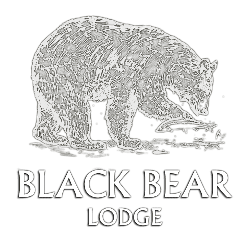 Black Bear Lodge